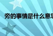 旁的事情是什么意思（解釋的事是什么旁）