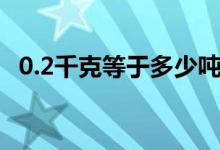 0.2千克等于多少噸（0.1噸等于多少千克）
