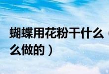 蝴蝶用花粉干什么（蝴蝶粉是用來(lái)干嘛的是什么做的）