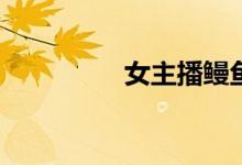 女主播鰻魚是什么意思？