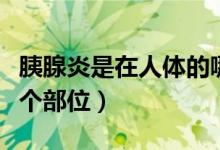 胰腺炎是在人體的哪個(gè)部位（胰腺炎在身體哪個(gè)部位）