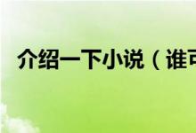 介紹一下小說(shuō)（誰(shuí)可以介紹一些小說(shuō)給我）