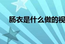 腸衣是什么做的視頻（腸衣是什么做的）