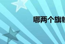 哪兩個旗幟組合在一起？