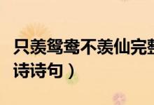 只羨鴛鴦不羨仙完整詩句（只羨鴛鴦不羨仙全詩詩句）