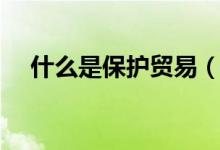 什么是保護(hù)貿(mào)易（什么是保護(hù)貿(mào)易政策）