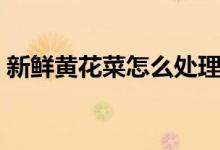 新鮮黃花菜怎么處理（如何處理新鮮黃花菜）