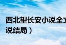 西北望長安小說全文免費(fèi)閱讀（西北望長安小說結(jié)局）