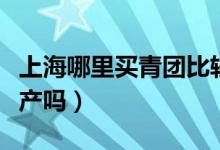 上海哪里買青團(tuán)比較有名氣（青團(tuán)是上海的特產(chǎn)嗎）