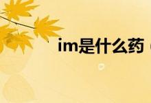 im是什么藥（im是什么單位）
