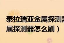 泰拉瑞亞金屬探測(cè)器哪個(gè)npc買(mǎi)（泰拉瑞亞金屬探測(cè)器怎么刷）