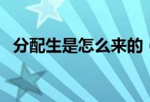 分配生是怎么來的（分配生是怎么錄取的）