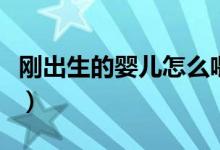 剛出生的嬰兒怎么喂奶（剛出生的嬰兒叫什么）