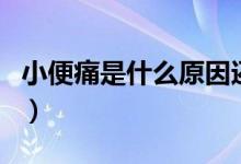 小便痛是什么原因還有點(diǎn)血（小便痛是啥原因）