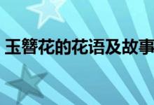 玉簪花的花語(yǔ)及故事（玉簪花的花語(yǔ)是什么）