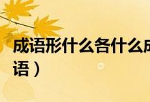 成語形什么各什么成語（成語形什么各什么成語）