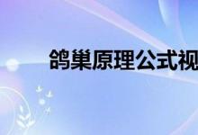 鴿巢原理公式視頻（鴿巢原理公式）