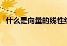 什么是向量的線性組合（什么是向量正交）