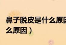 鼻子脫皮是什么原因怎么處理（鼻子脫皮是什么原因）