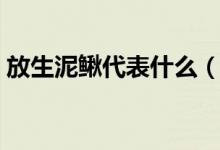 放生泥鰍代表什么（放生泥鰍代表什么意思）