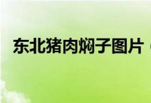 東北豬肉燜子圖片（東北豬肉燜子的做法）