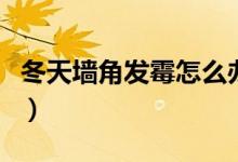 冬天墻角發(fā)霉怎么辦（冬天怎么防止墻角發(fā)霉）