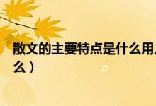 散文的主要特點是什么用幾個字概括（散文的主要特點是什么）
