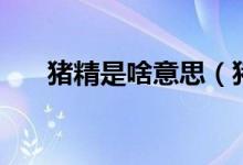 豬精是啥意思（豬精男孩是什么意思）