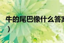 牛的尾巴像什么答案一年級(jí)（牛的尾巴像什么）