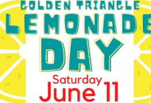 檸檬水日將于6月11日來到金三角