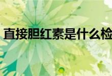 直接膽紅素是什么檢查（直接膽紅素是什么）