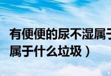 有便便的尿不濕屬于哪類垃圾（尿過的尿不濕屬于什么垃圾）