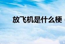 放飛機是什么梗（放飛機是什么意思）