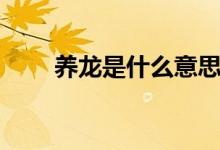 養(yǎng)龍是什么意思（養(yǎng)龍是什么意思）