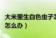 大米里生白色蟲(chóng)子怎么辦（大米里生白色蟲(chóng)子怎么辦）