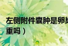 左側(cè)附件囊腫是卵巢囊腫嗎（左側(cè)附件囊腫嚴(yán)重嗎）