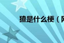 猹是什么梗（網(wǎng)絡(luò)語猹是什么梗）