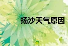 揚(yáng)沙天氣原因（揚(yáng)沙天氣是什么）