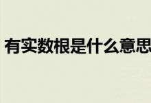 有實數(shù)根是什么意思（有實數(shù)根是什么意思）