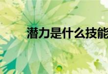 潛力是什么技能（潛力是什么意思）