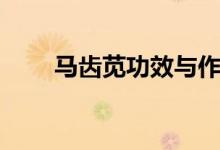 馬齒莧功效與作用（馬齒莧的吃法）