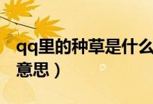 qq里的種草是什么意思（qq里面養(yǎng)草是什么意思）