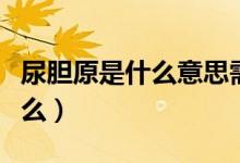 尿膽原是什么意思需要注意什么（尿膽原是什么）