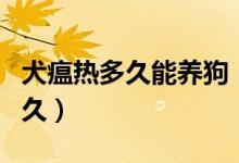 犬瘟熱多久能養(yǎng)狗（得了犬瘟熱得狗狗能活多久）