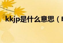 kkjp是什么意思（電路中KKJ是什么意思）