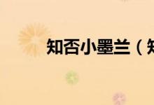 知否小墨蘭（知否小墨蘭誰(shuí)演的）