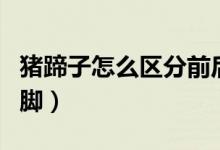 豬蹄子怎么區(qū)分前后腳（豬蹄子怎么區(qū)分前后腳）