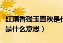 紅藕香殘玉簟秋是什么含義（紅藕香殘玉簟秋是什么意思）