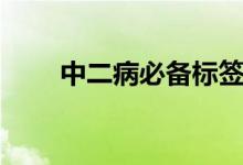 中二病必備標(biāo)簽（中二病必備句子）