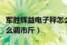 軍勝輝益電子秤怎么使用（軍勝輝益電子秤怎么調(diào)市斤）